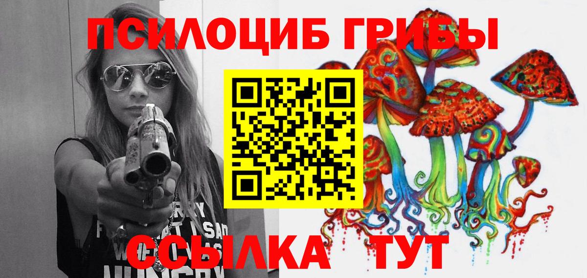 Холмск  Псилоцибиновые грибы Psilocybe  Галлюциногенные грибы Psilocybe  Вход с VPN 